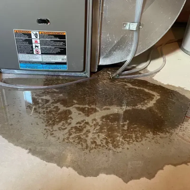 Appliance Leak Cleanup in Bollinger County, MO